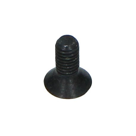 SCREW TSPEI M5X12 77750343B Ducati OEM