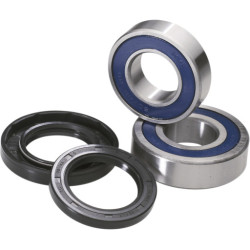 Moose Racing Front Wheel Bearings for Ducati