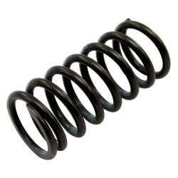 Clutch spring in oil for Ducati