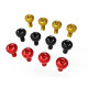 Ducati Panigale V4 2025 DBK Heel Guard Screws