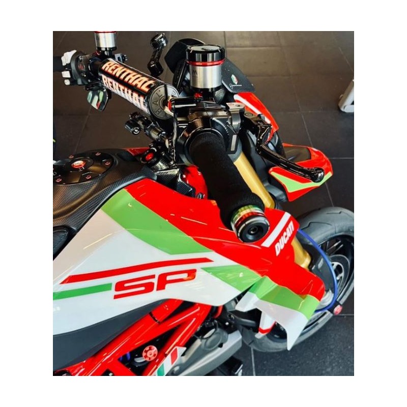 Ailerons aérodynamiques MotoGP pour Ducati Panigale.