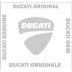 RETE ANTERIORE DESTRA 46012771A Ducati OEM (SU RICHIESTA)