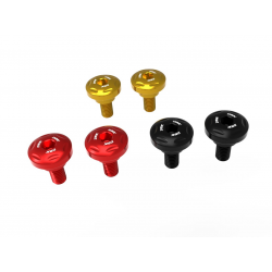 Engine Cover Screws DBK Ducati Hypermotard 698 Mono